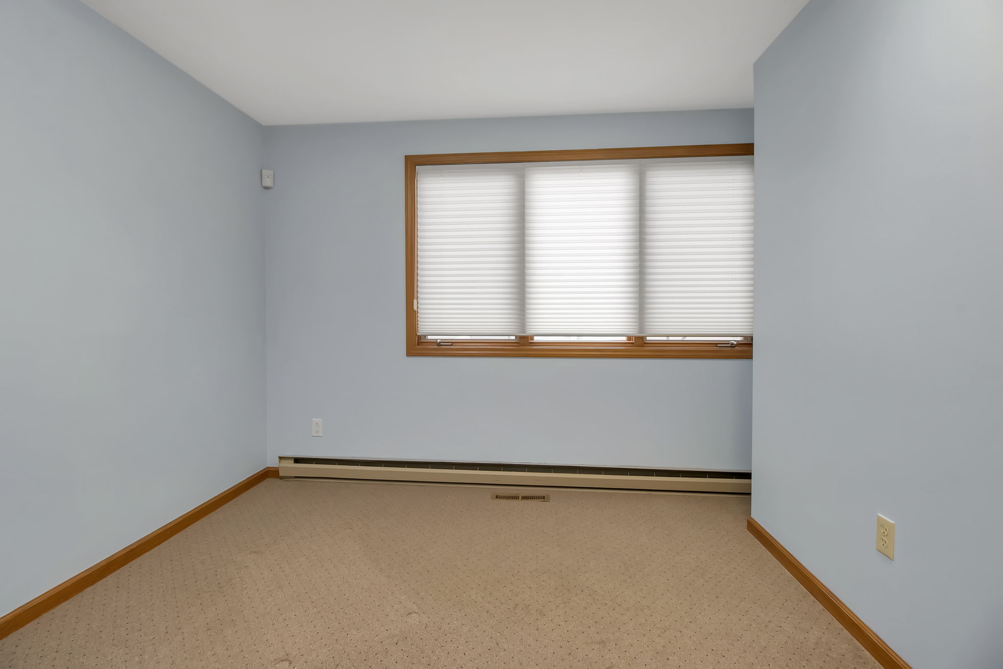 Property Photo #21