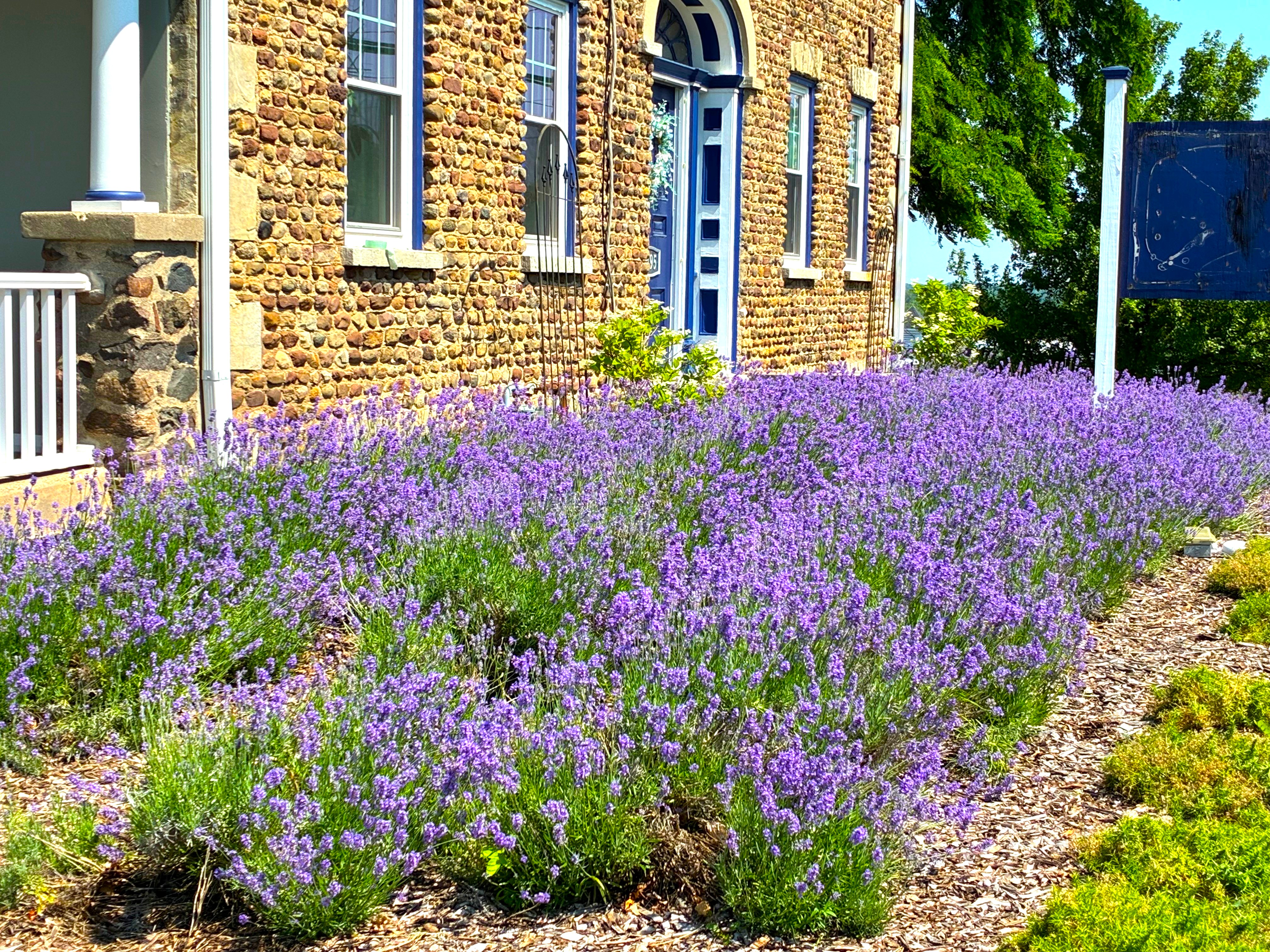 Property Photo #22