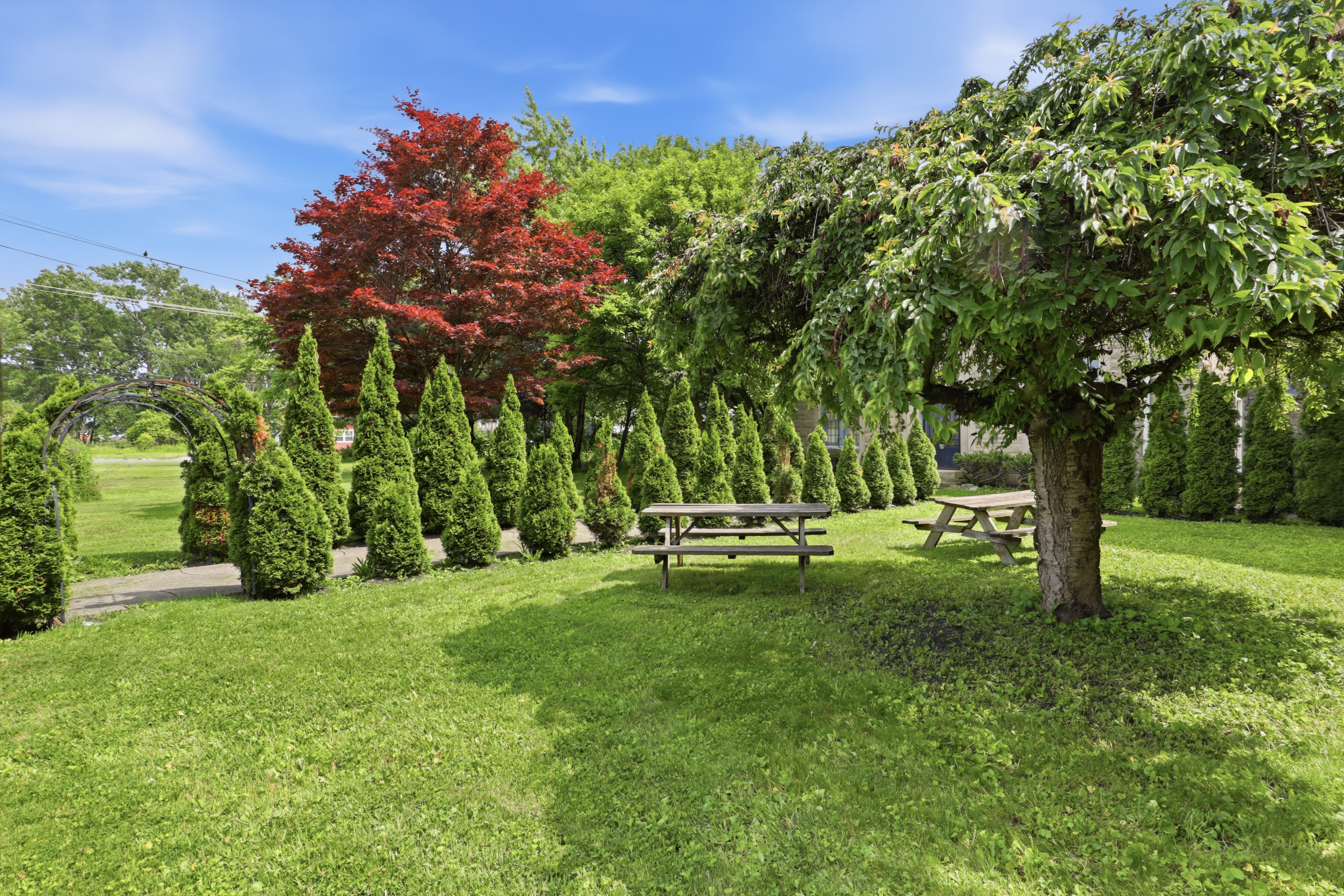 Property Photo #13