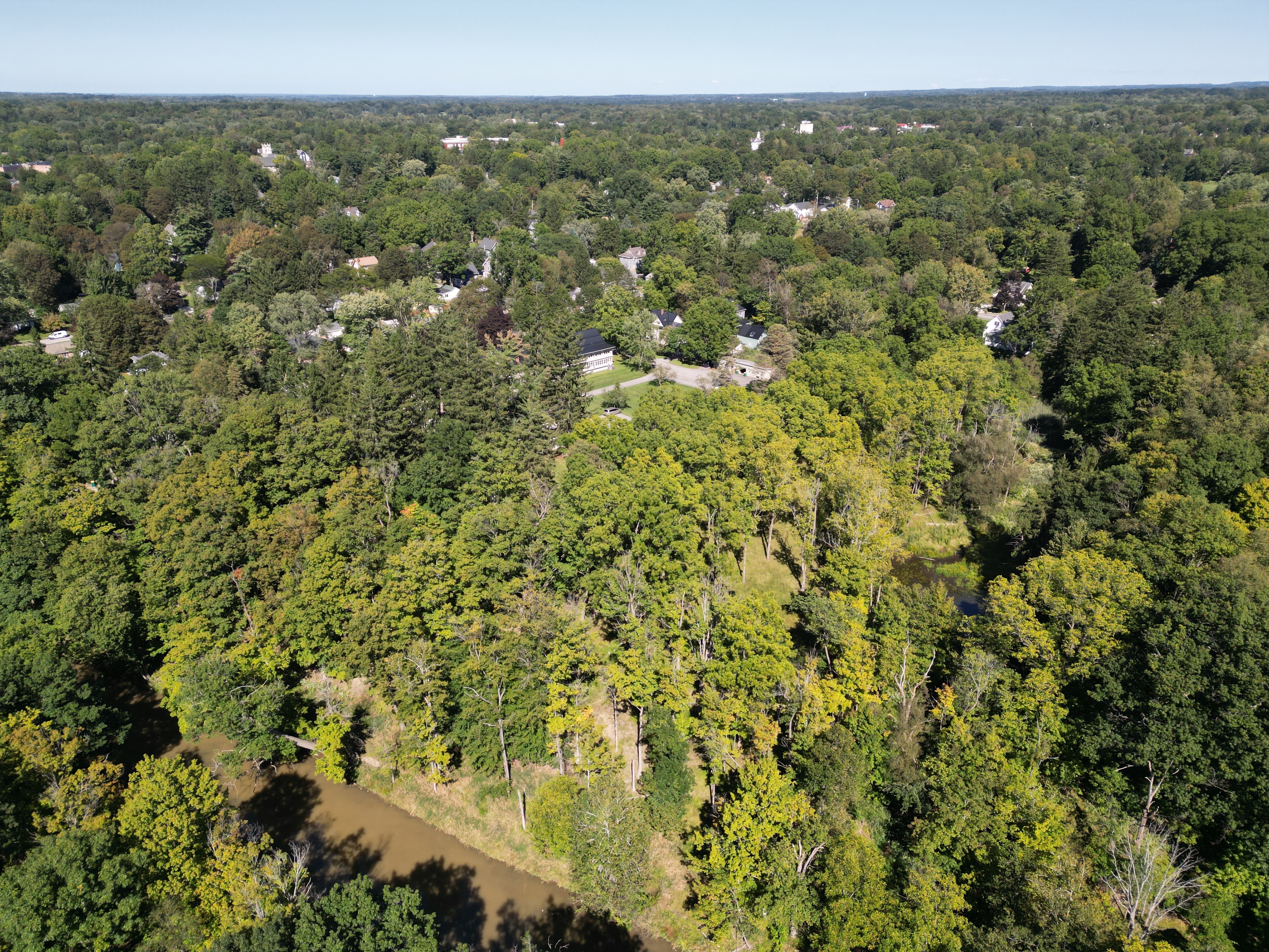 Property Photo #9