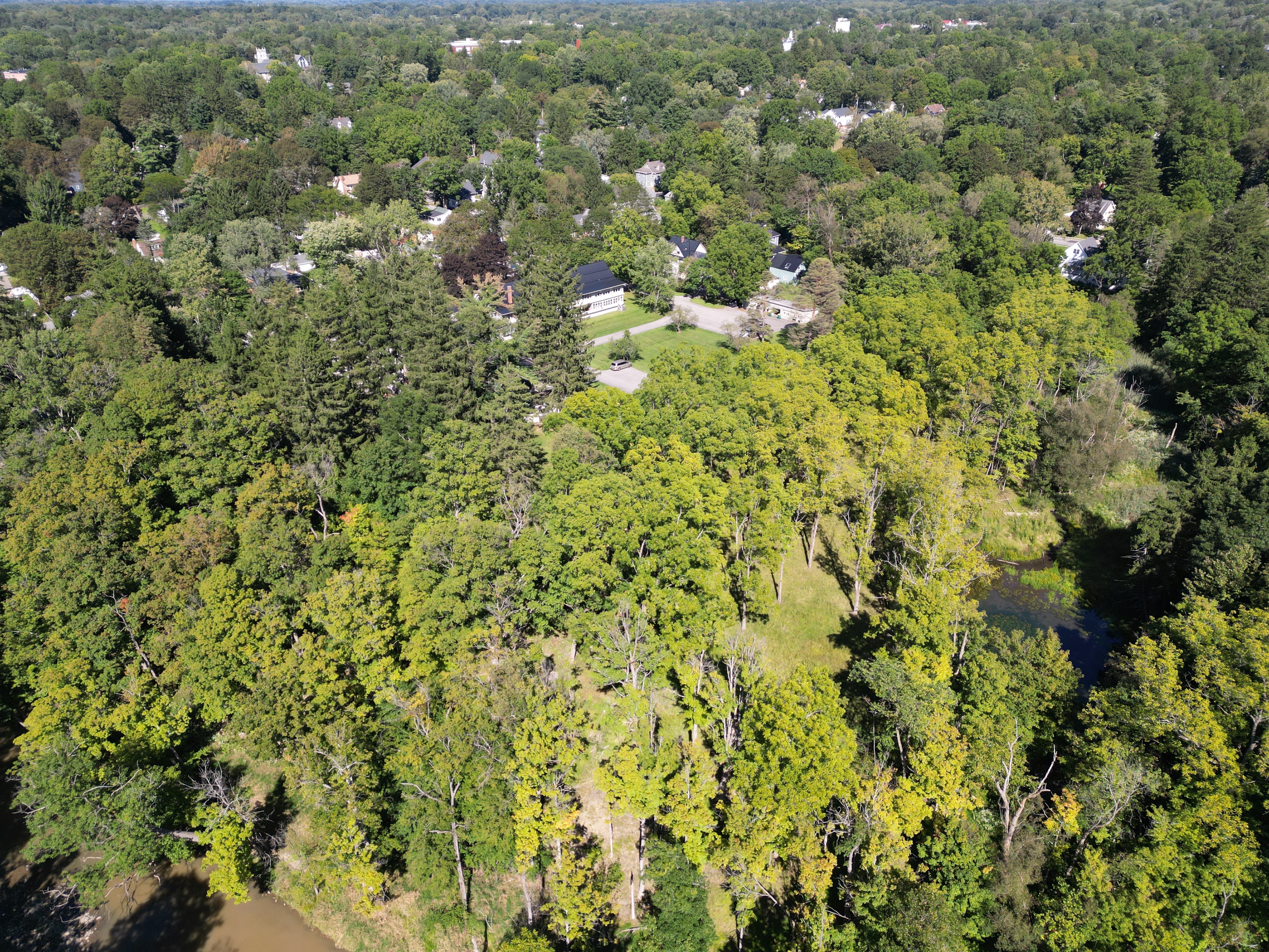 Property Photo #8