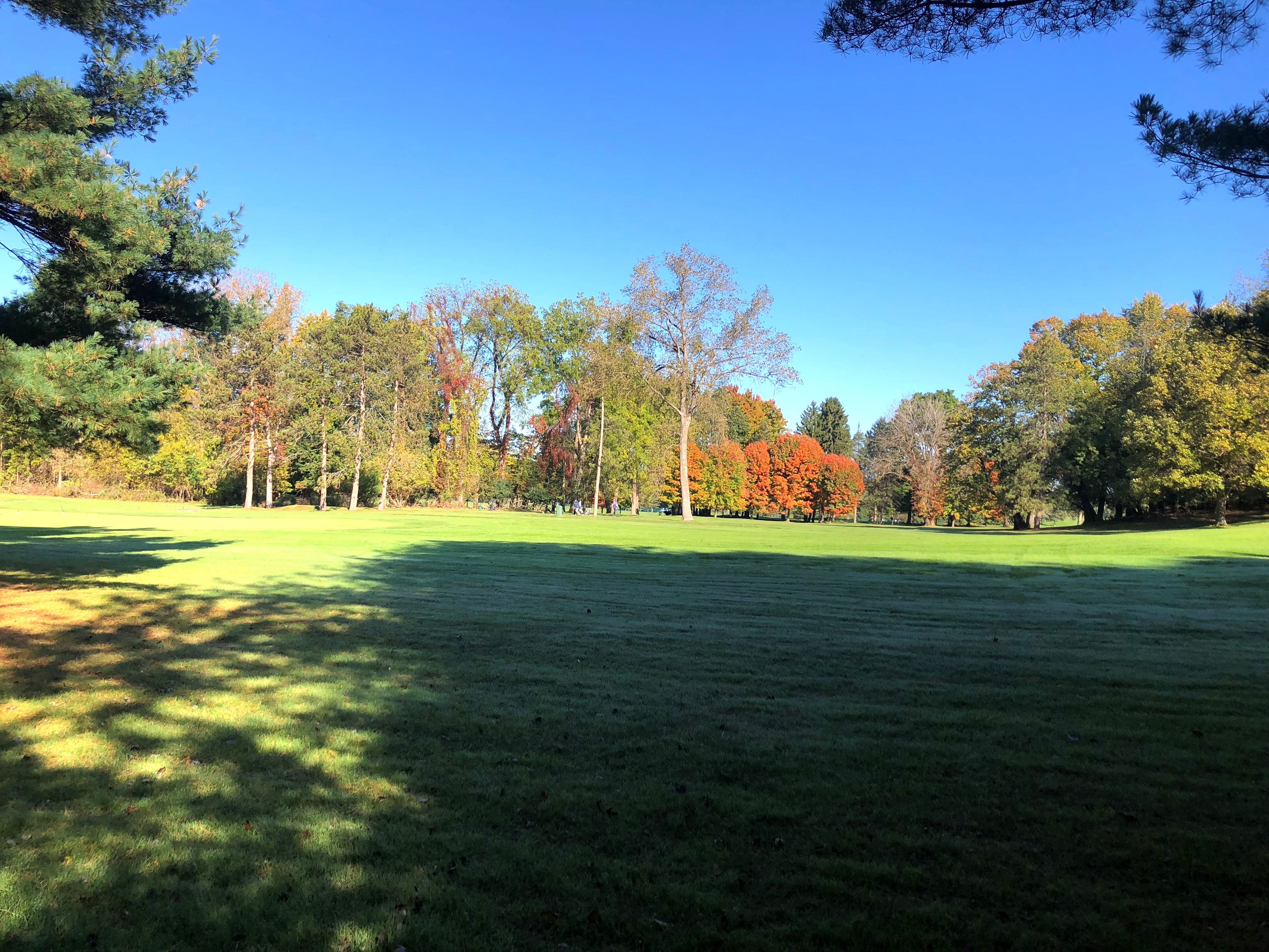 Property Photo #5
