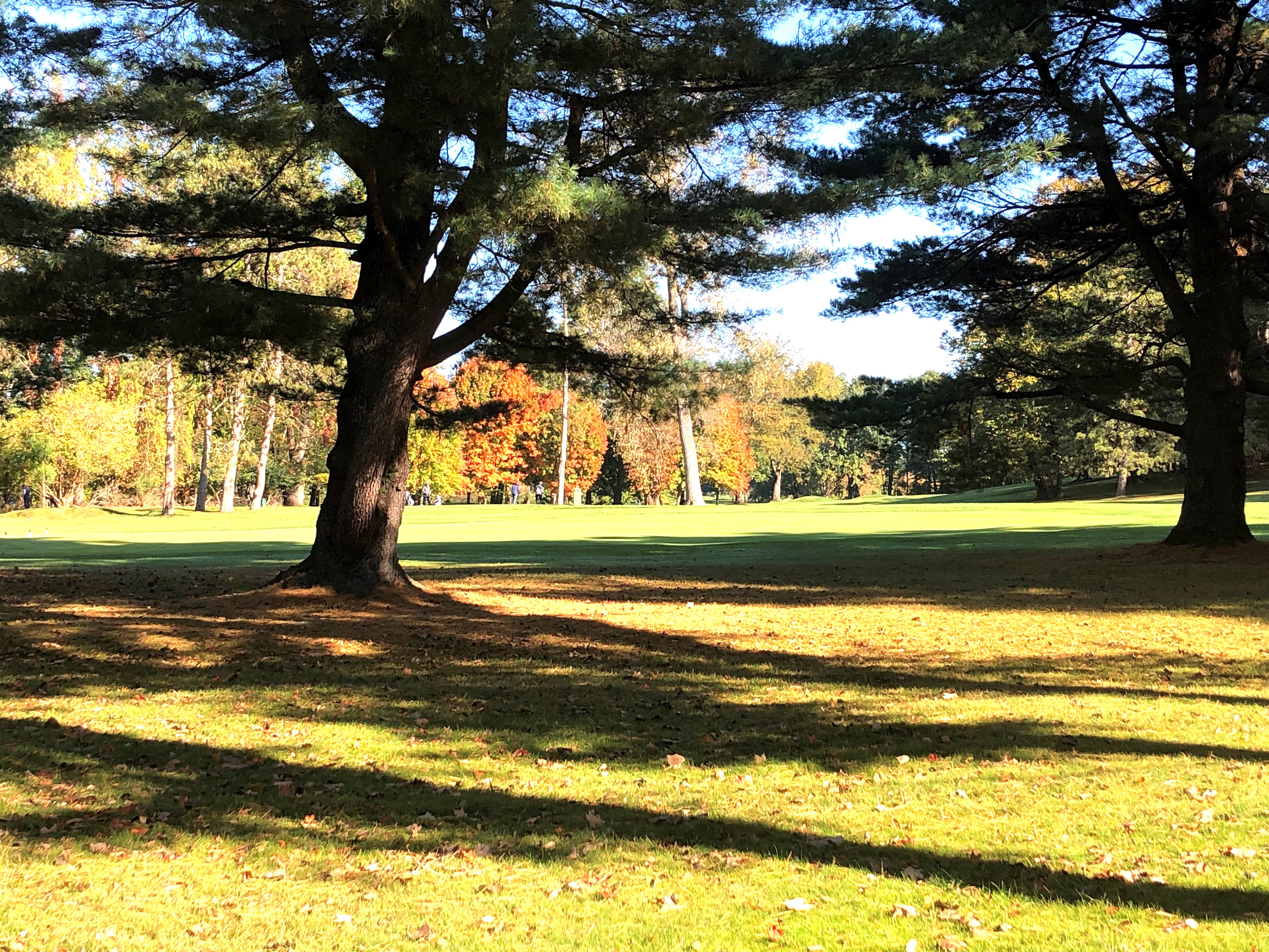 Property Photo #6